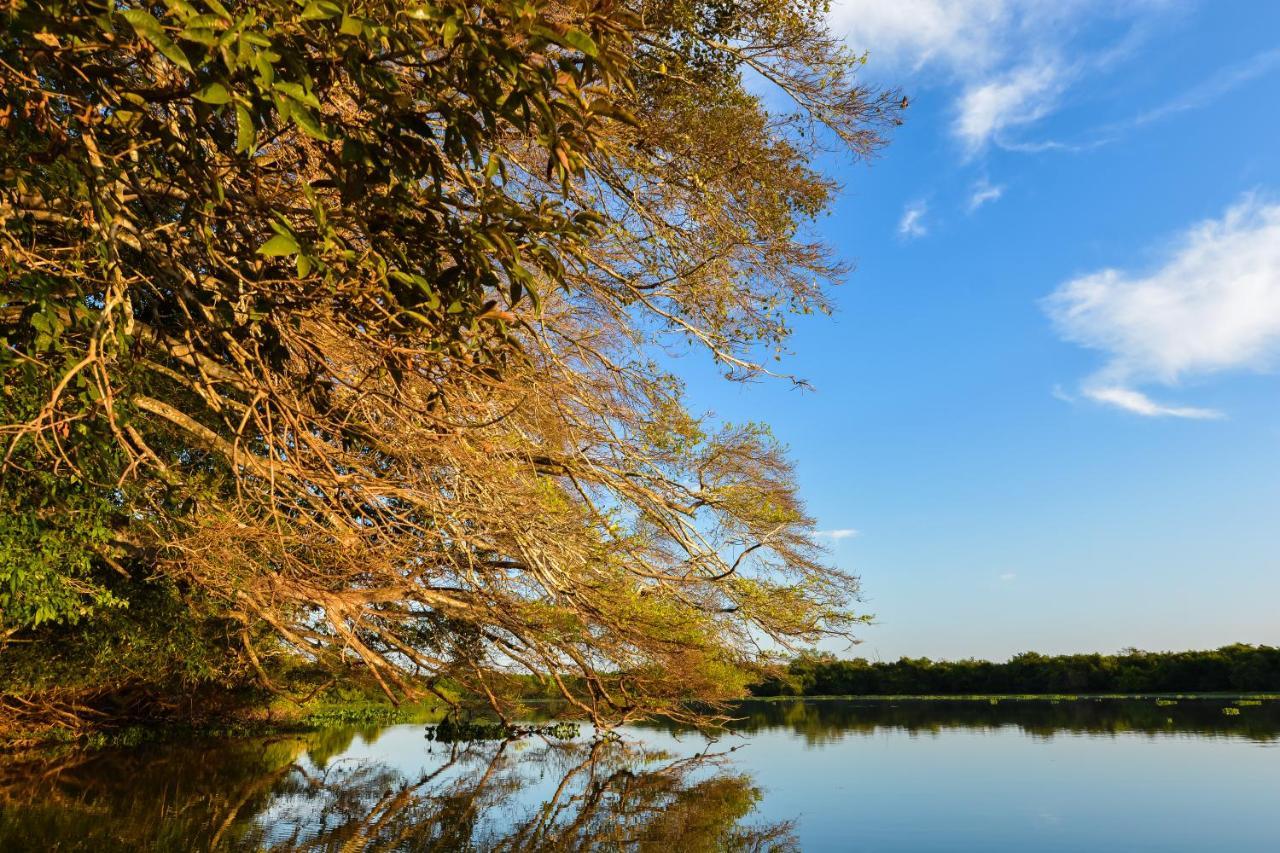 Pousada Rio Claro 포코네 외부 사진